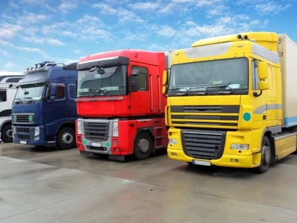 Antalya Ihlamur Nakliye